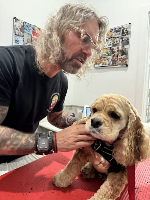 Arfit Dog Rehab / Fitness / Canine Rehabilitation Picture 7