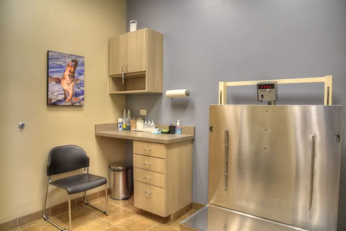 Berglund Animal Hospital Picture 1