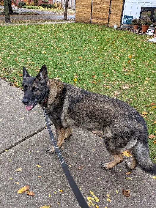 Berglund Animal Hospital Picture 4