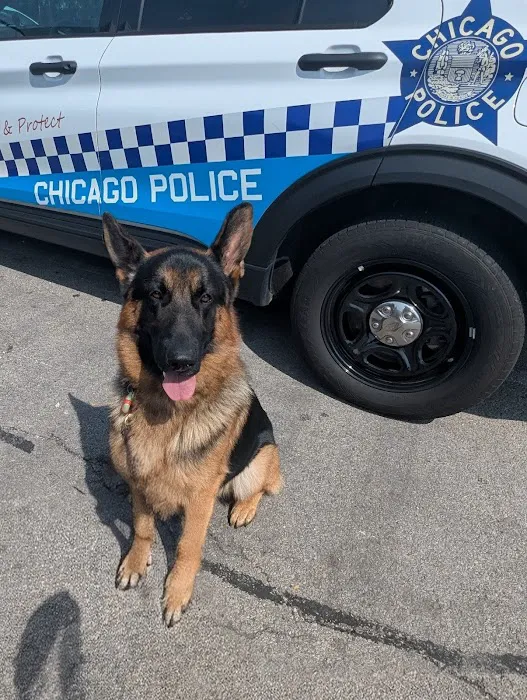 Berglund Animal Hospital Picture 3