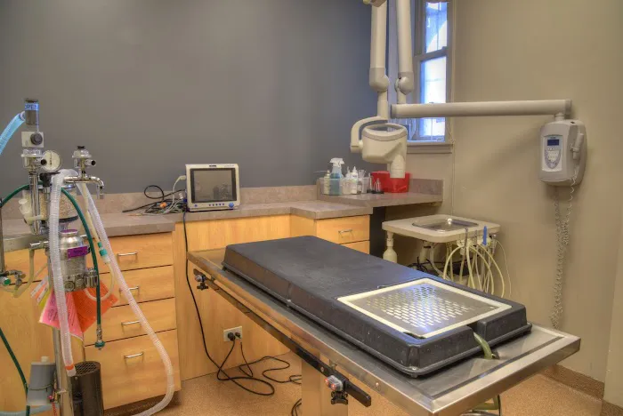 Berglund Animal Hospital Picture 10