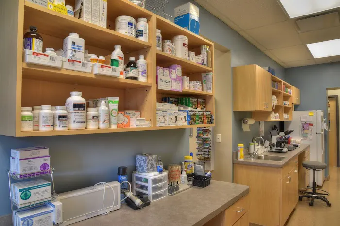 Berglund Animal Hospital Picture 7