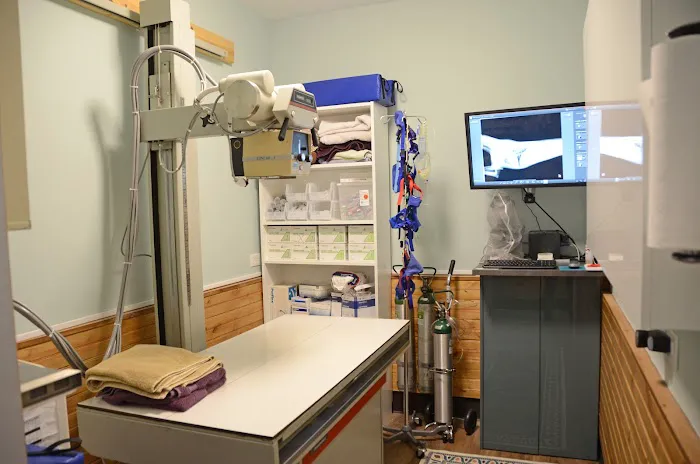 Royal Treatment Veterinary Center, Wilmette Picture 6