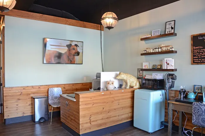 Royal Treatment Veterinary Center, Wilmette Picture 3