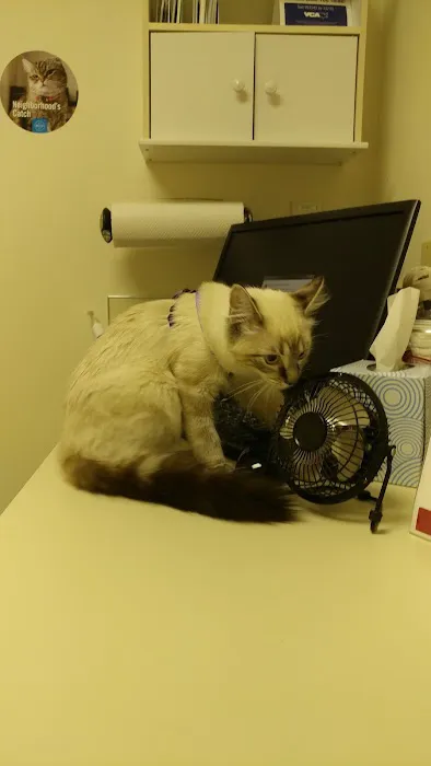 VCA Meadowdale Animal Hospital Picture 2