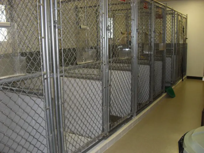 VCA Meadowdale Animal Hospital Picture 9
