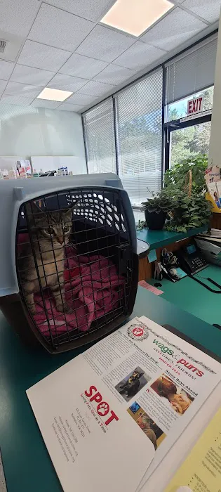 Mill Creek Veterinary Hospital Picture 2