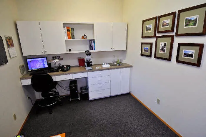 Animal Dermatology Clinic Picture 2