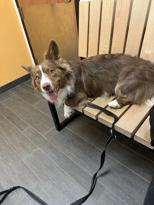 Banfield Pet Hospital Picture 1