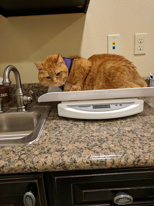 Petcare Hospital & Wellness Center, A Thrive Pet Healthcare Partner Picture 7