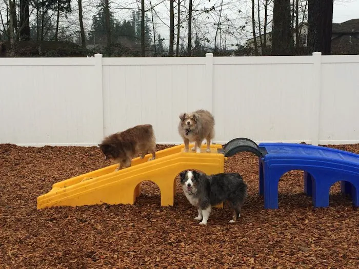 Petcare Hospital & Wellness Center, A Thrive Pet Healthcare Partner Picture 9
