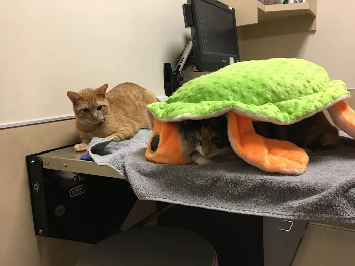 Northpointe Animal Hospital Picture 2
