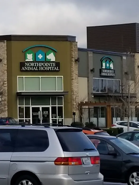 Northpointe Animal Hospital Picture 8