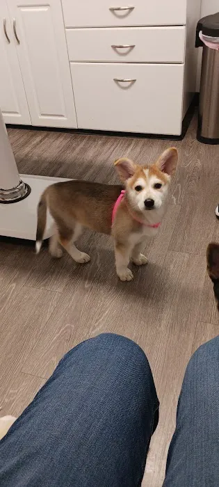 Sno-King Veterinary Clinic Picture 2