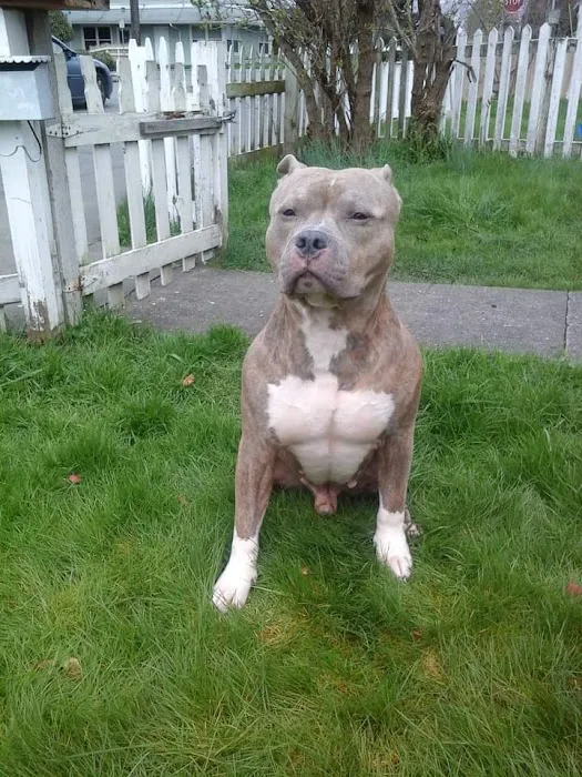 Sno-King Veterinary Clinic Picture 5