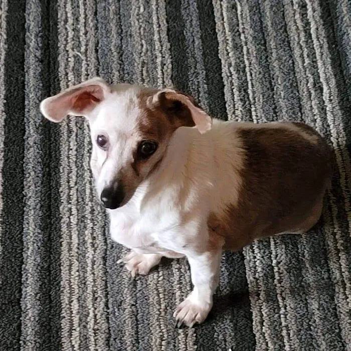 Sno-King Veterinary Clinic Picture 3