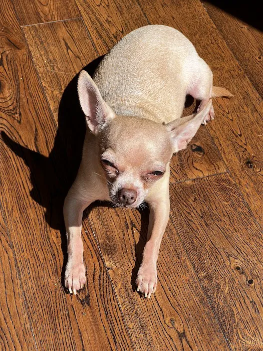 Sno-King Veterinary Clinic Picture 8