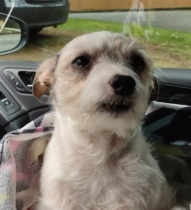 Sno-King Veterinary Clinic Picture 6