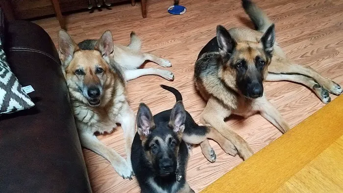 Sno-King Veterinary Clinic Picture 10