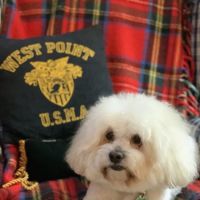 Cottage Lake Veterinary Hospital ico