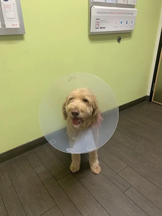 Banfield Pet Hospital Picture 1