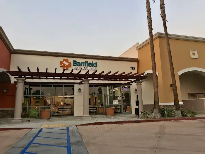Banfield Pet Hospital Picture 5
