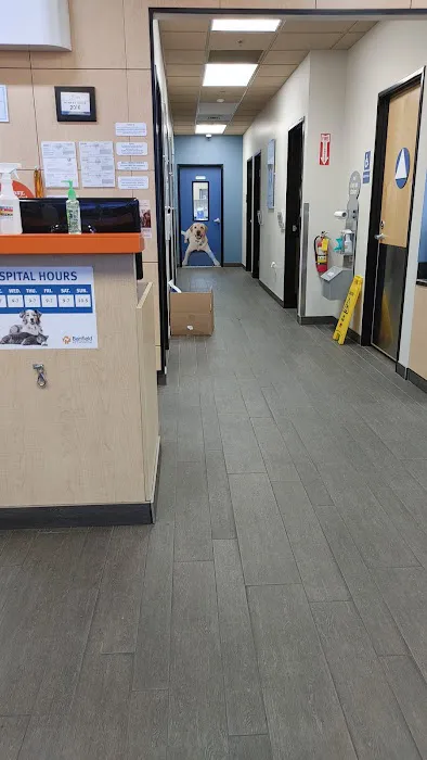 Banfield Pet Hospital Picture 4