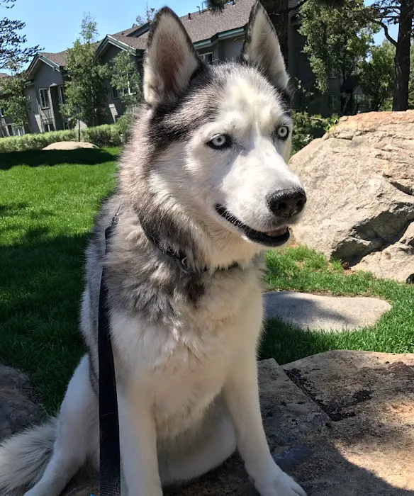 Banfield Pet Hospital Picture 9