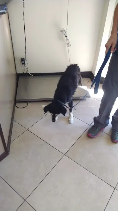 Animal Medical Clinic Picture 8