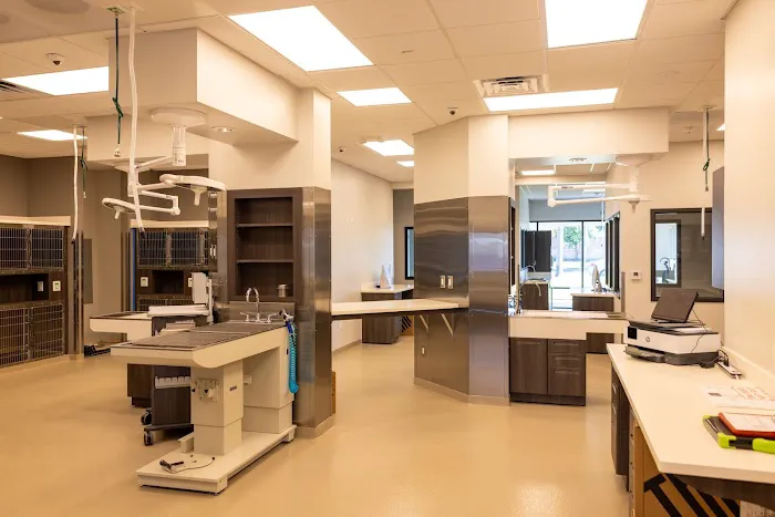 Brea Regional Animal Hospital Picture 9