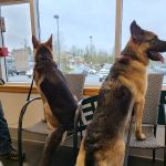 Cherry Valley Veterinary Hospital