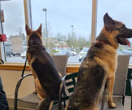 Cherry Valley Veterinary Hospital