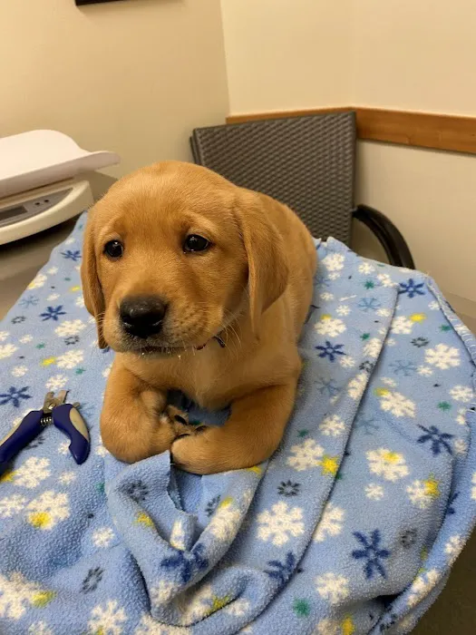 Cherry Valley Veterinary Hospital Picture 6