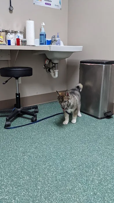 North Bend Animal Clinic Picture 5