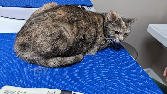 North Bend Animal Clinic Picture 6
