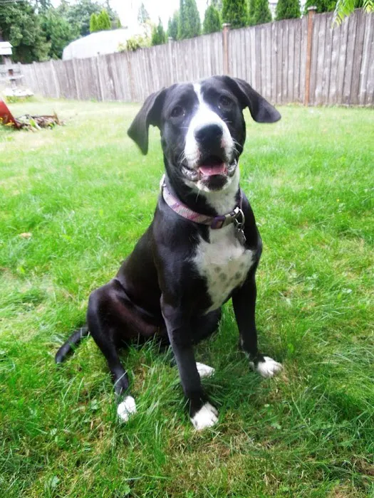 Sumner Veterinary Hospital Picture 3