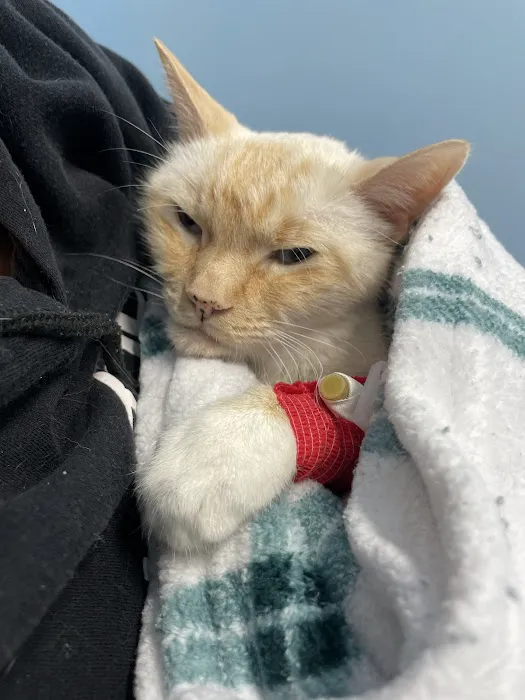 Sumner Veterinary Hospital Picture 4