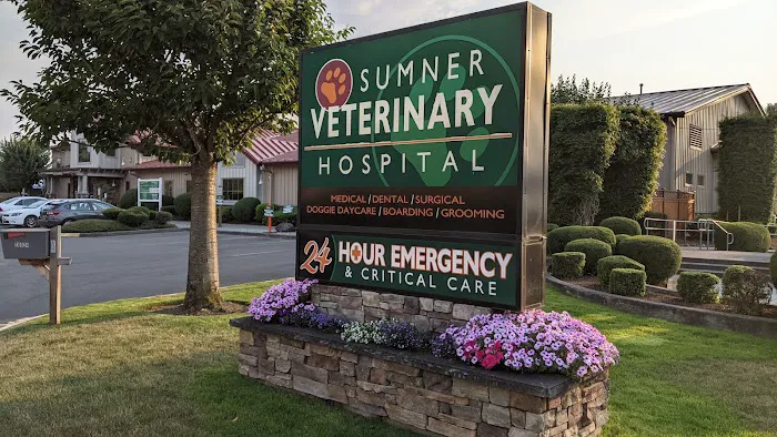 Sumner Veterinary Hospital Picture 6