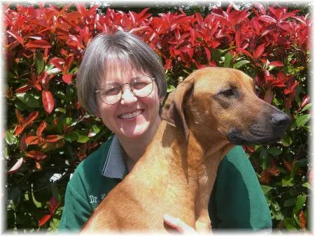 Puyallup Valley Veterinary Clinic Picture 6