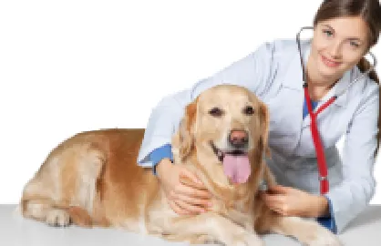 Puyallup Valley Veterinary Clinic Picture 8