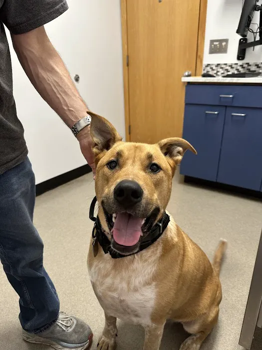 Lake Tapps Veterinary Hospital Picture 1