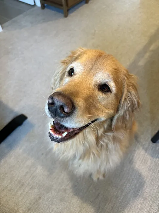 Lake Tapps Veterinary Hospital Picture 8