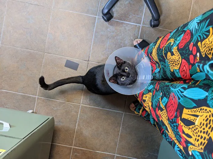 Enumclaw Veterinary Hospital Picture 8