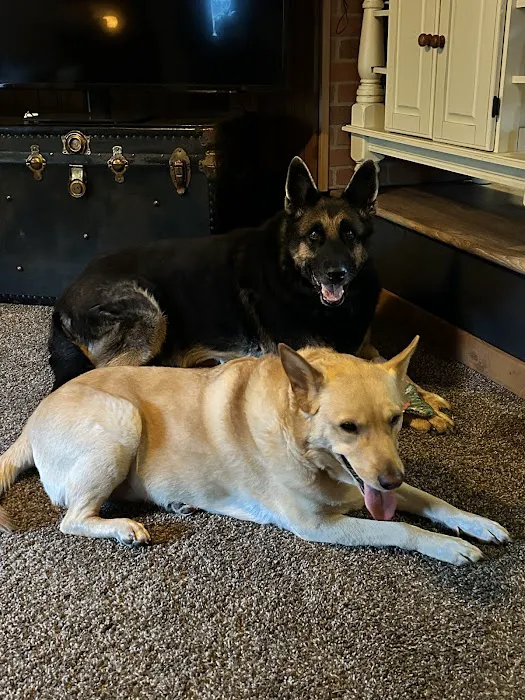 Buckley Veterinary Hospital Picture 3