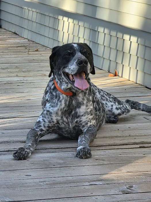 Buckley Veterinary Hospital Picture 5