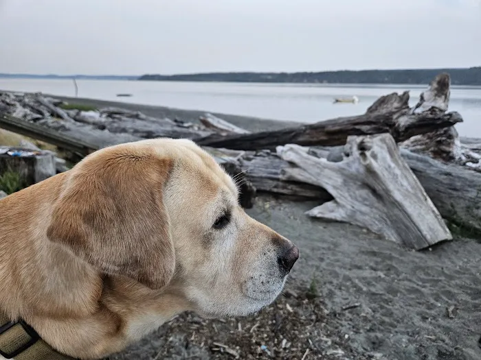 Buckley Veterinary Hospital Picture 2