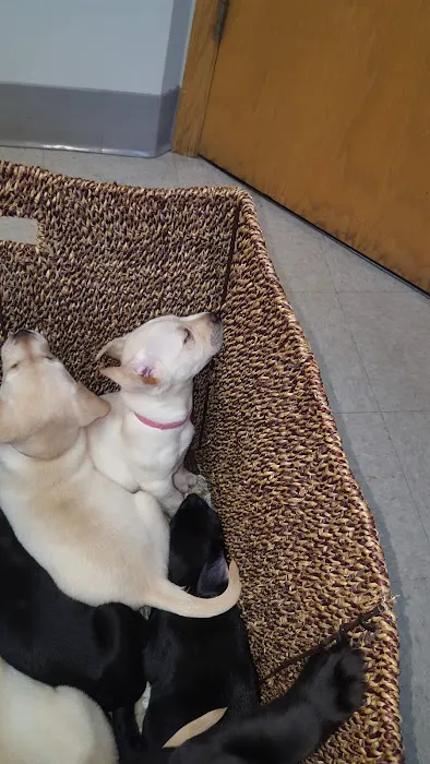 Buckley Veterinary Hospital Picture 4