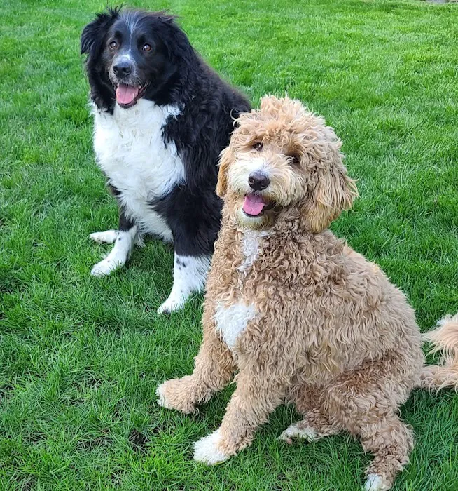 Buckley Veterinary Hospital Picture 8