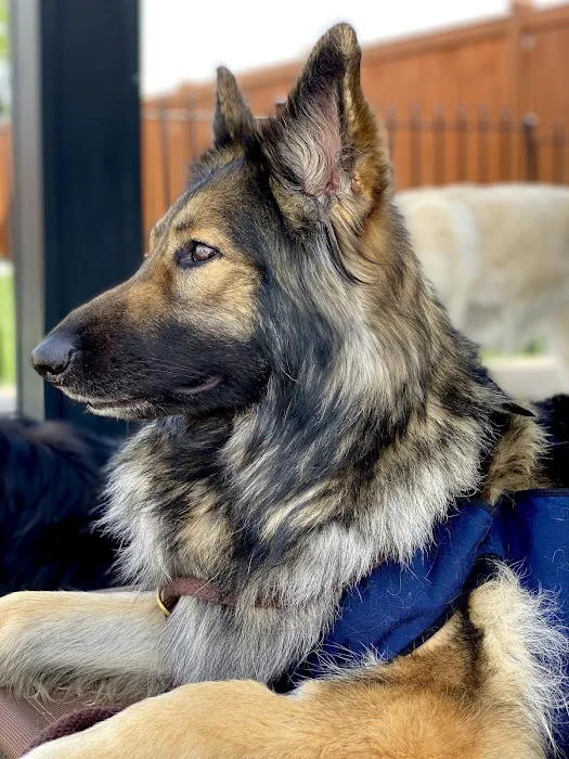 Buckley Veterinary Hospital Picture 9