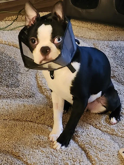 Buckley Veterinary Hospital Picture 10